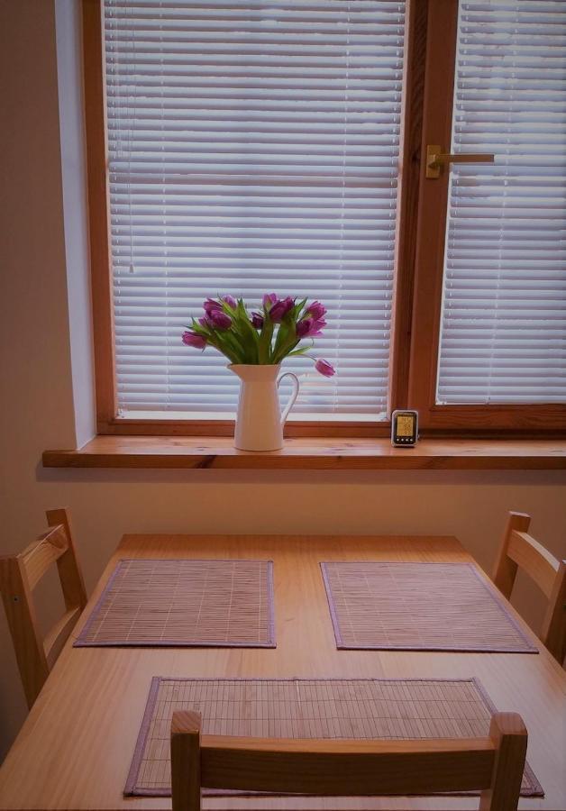 Sveciu Namelis Villa ดรูซกินินไก ภายนอก รูปภาพ